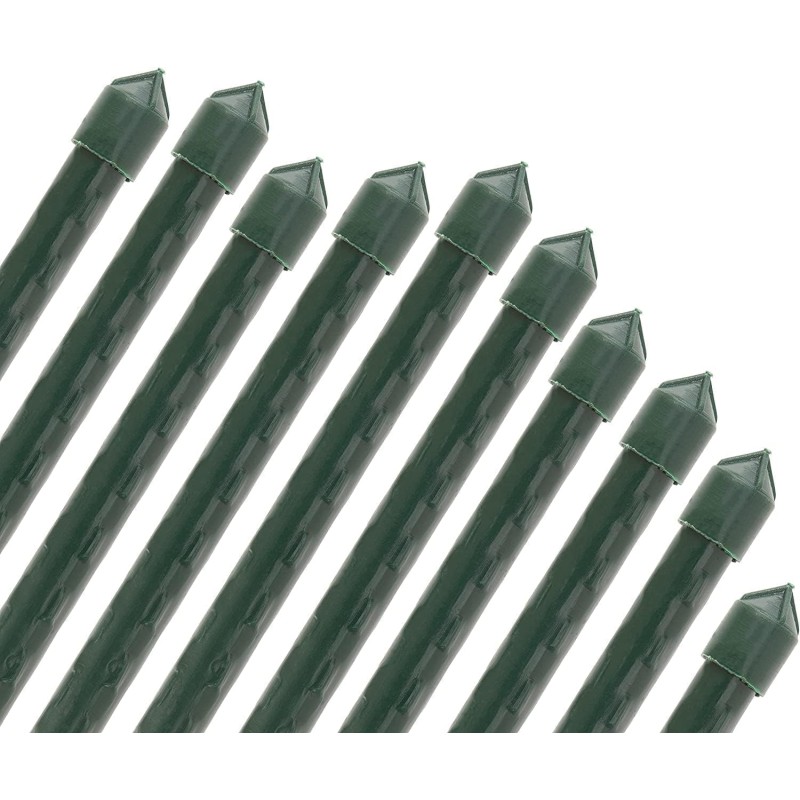 Pack 100 Tutor de Bambú plastificado 180 cm (14-16mm), Varillas para Plantas y Árboles, Tutores para Tomates y Plantas trepadora