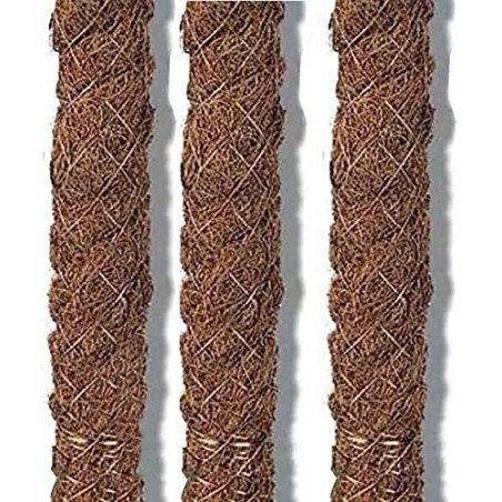20 pali di supporto in muschio di cocco da 60 cm, 32 mm. Utilizzati in agricoltura, piantagioni e floricoltura da giardino.