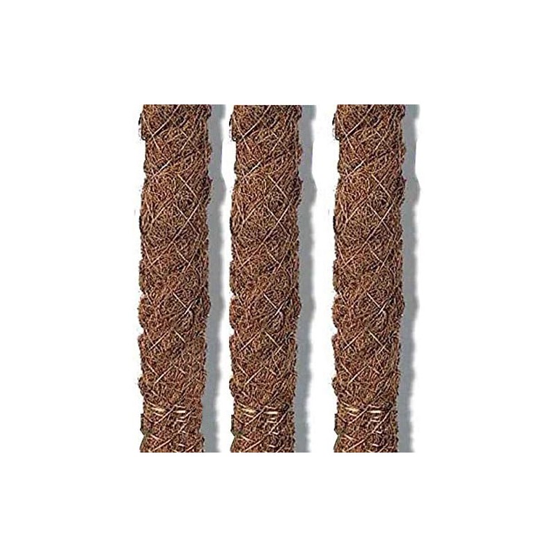 Lot de 24 Piquet Tuteurs en Mousse de Coco de 80 cm Ø 32 mm | Utilisé en agriculture, plantations et floriculture Lot de 24 Piquet Tuteurs en Mousse de Coco de 80 cm Ø 32 mm | Utilisé en agriculture, plantations et floriculture