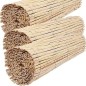 3 x Canisse naturelle fendue pour jardin 1,5 x 5 m. Canisse en Roseau Nature pour l'occultation, la délimitation ou l'ombrage