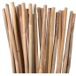 Pack de 50 tuteurs en bambou 180 cm (12-14 mm) | Tiges de bambou pour plantes et arbres | Tuteurs pour tomates et plantes grimpa Pack de 50 tuteurs en bambou 180 cm (12-14 mm) | Tiges de bambou pour plantes et arbres | Tuteurs pour tomates et plantes grimpa