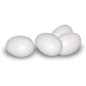 Set di 16 Uova di plastica per piccioni | Design realistico per l'allevamento e l'addestramento