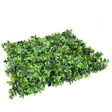 Mahonia Vertical Garden 50 x 50 cm. 