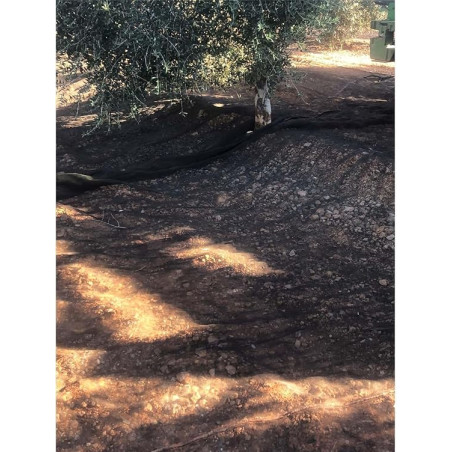 Manto para Recolección de Frutos 4x6 m (24m2) | Manto de Aceituna