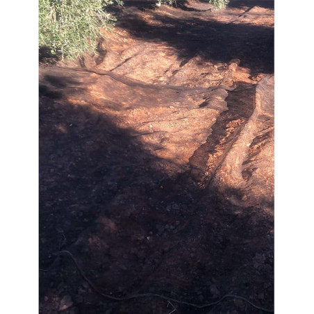 Copertura per raccolta frutta 6x6 m (36 m2) | Copertura per olive