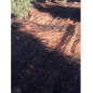 Olive and almond harvesting mantle 6 x 6 m, 75 gr / m2 Olive and almond harvesting mantle 6 x 6 m, 75 gr / m2