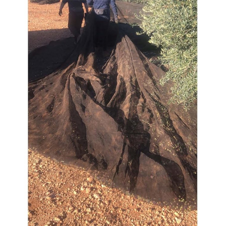 Manto para Recolección de Frutos 5x10 m (50m2)