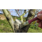 Putty for grafting, pruning and plant breakage, 300 gr Putty for grafting, pruning and plant breakage, 300 gr