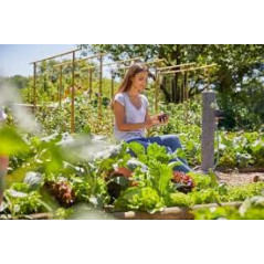 Programador de riego automático Temporizador para grifo | Programador de grifo de riego de jardin