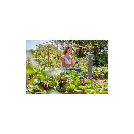 Programmatore di irrigazione automatico Timer per rubinetto, Programmatore Rubinetto Irrigazione per Giardino