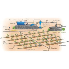 Goutteur d'irrigation, Arroseur d'arrosage réglables Kits de système d'irrigation goutte à goutte Micro Flow Drip