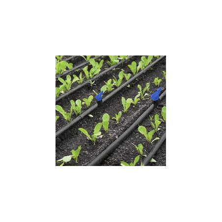 Pack de 50 Vanne de Passage Irrigation Goutte-à-Goutte 20mm | Vanne Striée pour Irrigation Goutte-à-Goutte