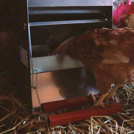 Automatischer Vogelfutterspender 6 kg für bis zu 3 Hühner