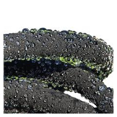 Porous exudating garden hose 12.5mm 25mts