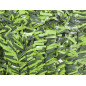 Seto Artificial Ocultación Jardin 1,50x3 m | Seto Bicolor Hoja Ancha | Seto ocultación 95% | Seto Artificial Decorativo Seto Artificial Ocultación Jardin 1,50x3 m | Seto Bicolor Hoja Ancha | Seto ocultación 95% | Seto Artificial Decorativo