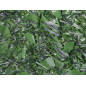 Haie de Jardin Artificielle 1,50x3 m | Clôture de Protection de Jardin à Feuilles Lierre avec Dissimulation à 95% | Cloture Haie Haie de Jardin Artificielle 1,50x3 m | Clôture de Protection de Jardin à Feuilles Lierre avec Dissimulation à 95% | Cloture Haie
