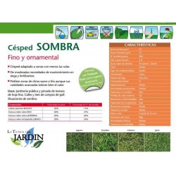 Semillas Césped en Sombra 5 Kg, Crecimiento en Áreas Sombrías