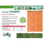 Schattengrassamen | Schattengrassamen 15 kg | Grassamen für schattige Bereiche pflanzen | Schnelles und robustes Wachstum Schattengrassamen | Schattengrassamen 15 kg | Grassamen für schattige Bereiche pflanzen | Schnelles und robustes Wachstum