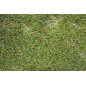 Gazon Artificiel 30mm Córdoba | Rouleau de 2x20m | Tapis en Herbe Synthétique Réaliste | Idéal pour Jardins et Terrasses Gazon Artificiel 30mm Córdoba | Rouleau de 2x20m | Tapis en Herbe Synthétique Réaliste | Idéal pour Jardins et Terrasses