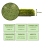 Gazon Artificiel 30mm Córdoba | Rouleau de 2x20m | Tapis en Herbe Synthétique Réaliste | Idéal pour Jardins et Terrasses Gazon Artificiel 30mm Córdoba | Rouleau de 2x20m | Tapis en Herbe Synthétique Réaliste | Idéal pour Jardins et Terrasses