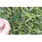 Pack 50 Bridas plastico verdes Nailon 3,6 x 250 mm | Brida verde para Mallas de Jardin, Fontaneria, Electricidad Pack 50 Bridas plastico verdes Nailon 3,6 x 250 mm | Brida verde para Mallas de Jardin, Fontaneria, Electricidad