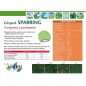 Sparring grass seeds 25 Kg compact resistant Sparring grass seeds 25 Kg compact resistant