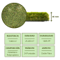 Césped Artificial 40mm Córdoba | Rollo de 2x10m | Alfombra de Hierba Sintética Realista | Ideal para Jardines y Terrazas