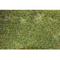 Césped Artificial 40mm Córdoba | Rollo de 2x5m | Alfombra de Hierba Sintética Realista | Ideal para Jardines y Terrazas