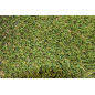 Erba artificiale 45mm Córdoba | Rotolo da 2x20m | Tappeto in erba sintetica realistico | Ideale per Giardini e Terrazze Erba artificiale 45mm Córdoba | Rotolo da 2x20m | Tappeto in erba sintetica realistico | Ideale per Giardini e Terrazze
