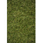 Césped Artificial 30mm Bahamas | Rollo de 2x20m | Alfombra de Hierba Sintética Realista | Ideal para Jardines y Terrazas