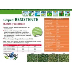 Semillas Césped Resistente 5 Kg, Resistencia y Adaptabilidad Garantizadas
