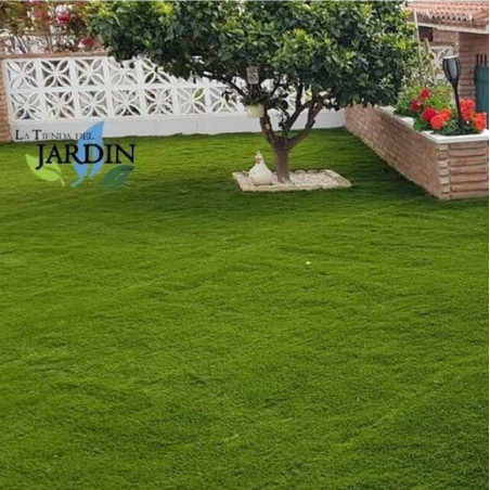 Césped Artificial 30mm Bahamas| Rollo de 2x20m | Alfombra de Hierba Sintética Realista | Ideal para Jardines y Terrazas