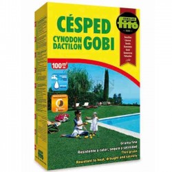 Semillas Césped Grama Fina 1 Kg, Césped Suave y Estético para Jardines