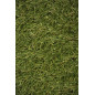 Gazon artificiel 45 mm Bahamas | Rouleau de 2x5m | Tapis de gazon synthétique réaliste | Idéal pour les jardins et les terrasse Gazon artificiel 45 mm Bahamas | Rouleau de 2x5m | Tapis de gazon synthétique réaliste | Idéal pour les jardins et les terrasse