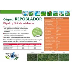 Semillas Césped Repoblador 5 Kg, Rápido Crecimiento y Cobertura