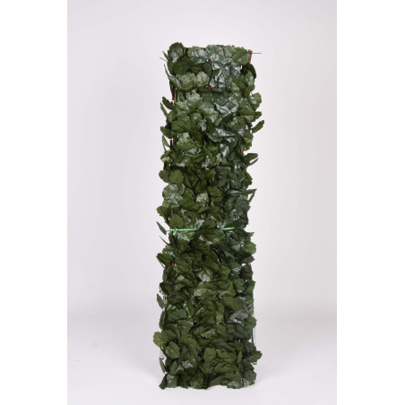 Treillis en bois 100 x 200 cm | Treillis en osier à feuilles de saule | Treillis décoratif intérieur/extérieur | Treillis extens