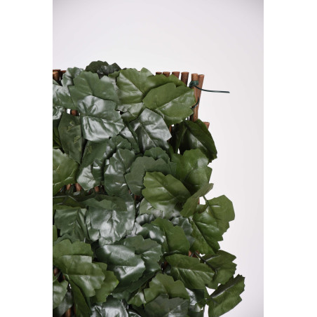 Celosia Madera 100x200 cm | Celosia de Mimbre Hojas de Sauce | Celosia Interior Exterior Decorativa | Celosia Extensible