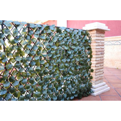 Treliça de madeira 100x200 cm | Treliça de vime com folhas de salgueiro | Treliça decorativa para interior/exterior | Treliça ex