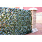 Celosia Madera 100x200 cm | Celosia de Mimbre Hojas de Sauce | Celosia Interior Exterior Decorativa | Celosia Extensible Celosia Madera 100x200 cm | Celosia de Mimbre Hojas de Sauce | Celosia Interior Exterior Decorativa | Celosia Extensible