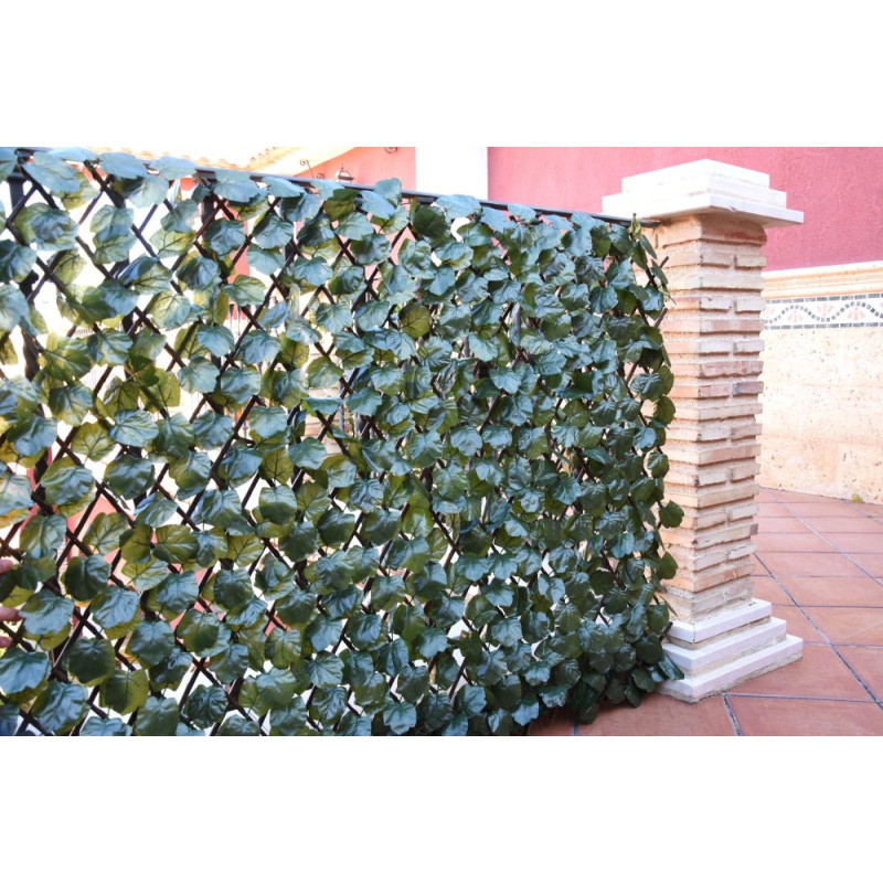 Treliça de madeira 100x200 cm | Treliça de vime com folhas de salgueiro | Treliça decorativa para interior/exterior | Treliça ex