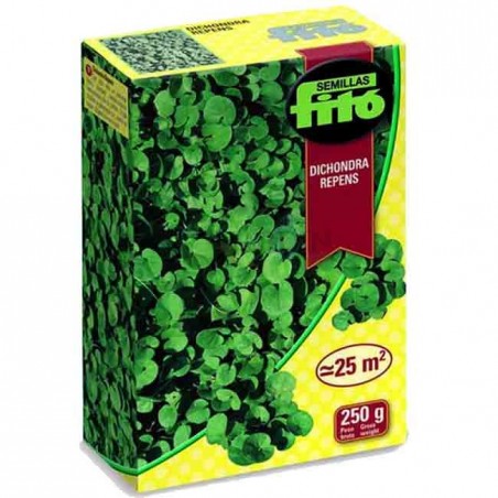 Sementi per Prato Dichondra Repens 250 g, Prato di Dichondra repens, Resistenza alla siccità, per zone ombreggiate