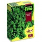 Semente de Dichondra Repens 250 Grs, Ideal para Áreas Pequenas e Finas