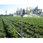 Lot de 5 Arroseur circulaire agricole arrosage 3/4'' en laiton, portée 13 à 18 m, VYR003600 Lot de 5 Arroseur circulaire agricole arrosage 3/4'' en laiton, portée 13 à 18 m, VYR003600
