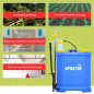 SPRUZZATORE A ZAINO 16L spray, solfato, acqua frutteto e giardino SPRUZZATORE A ZAINO 16L spray, solfato, acqua frutteto e giardino