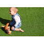 Césped Artificial 25mm Otoño | Rollo de 2x5m | Alfombra de Hierba Sintética Realista | Ideal para Jardines y Terrazas Césped Artificial 25mm Otoño | Rollo de 2x5m | Alfombra de Hierba Sintética Realista | Ideal para Jardines y Terrazas