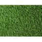 Césped Artificial Moqueta 10mm | Rollo de 2x25m | Alfombra Sintética Resistente | Ideal para Eventos, Terrazas y Ferias