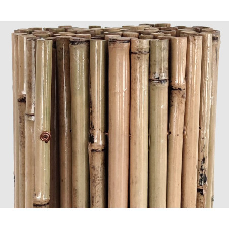 Cerca de bambu envernizado de 1,5 x 3 m | Tela de privacidade 100% bambu | Cerca de bambu para terraços e jardins