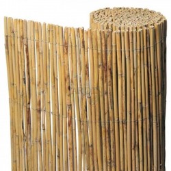 Canisse naturelle entière pour jardin 1x10 m, utile pour l'occultation, la délimitation ou l'ombrage