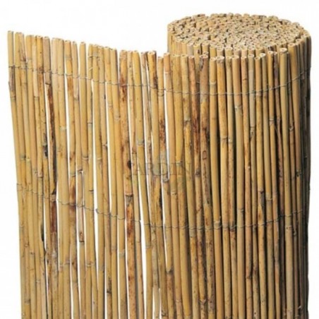 Haie de jardin naturelle entière 1 x 5 m, utile pour dissimuler, délimiter ou ombrager.