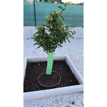 Pacote com 25 tubos protetores de árvores, 40 cm | Proteja suas plantas de roedores e diversas pragas